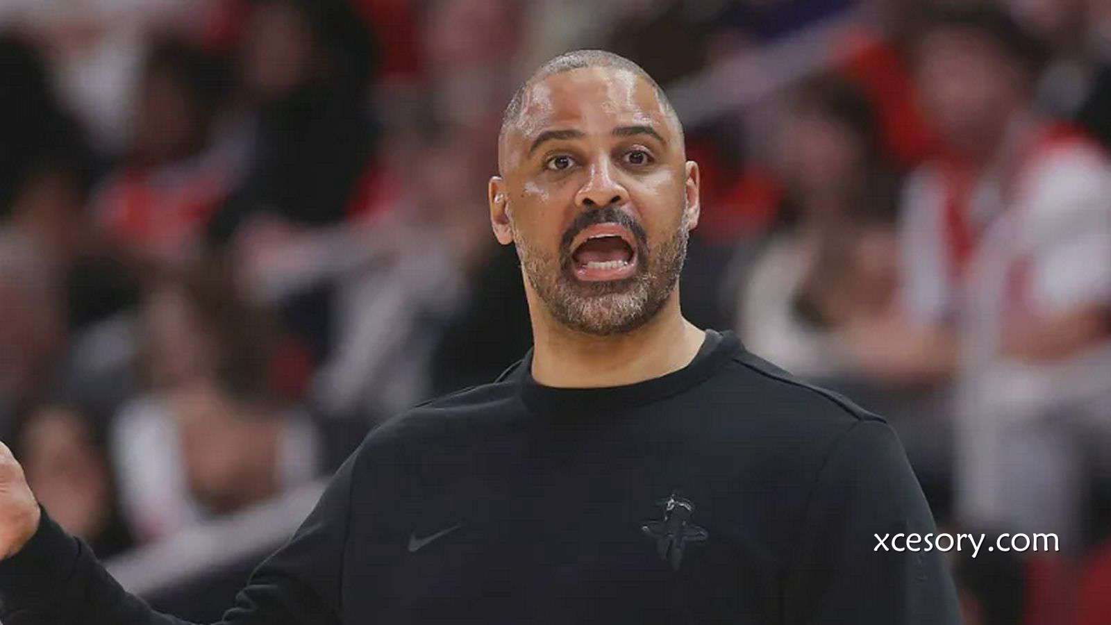 亚新体育独家专栏：乌度卡｜谢泼德攻防两端表现很稳健 芬尼-史密斯需要时间找回状态